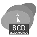 Interviews réalisées pour l'association BCD en Bretagne